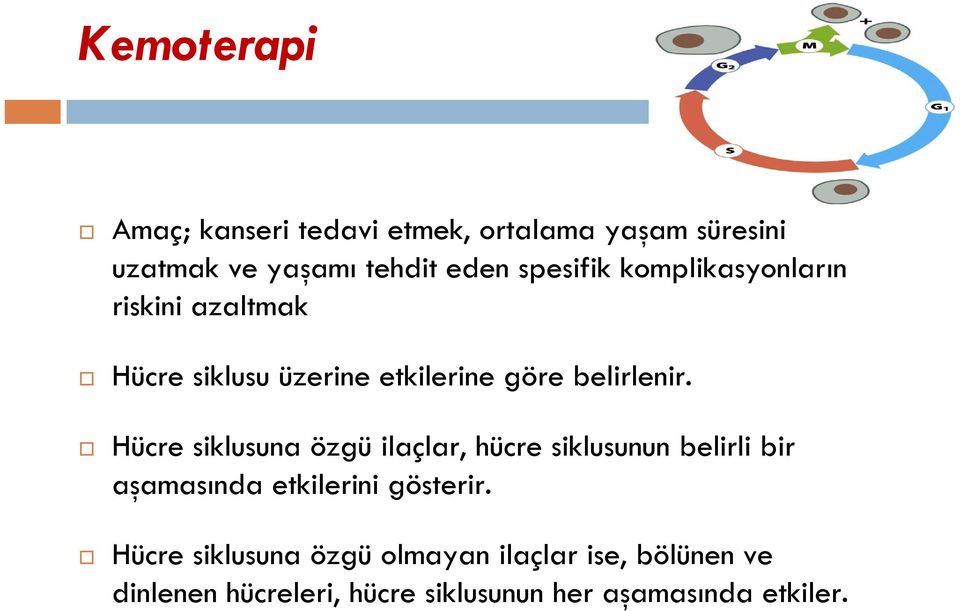 Hücre siklusuna özgü ilaçlar, hücre siklusunun belirli bir aşamasında etkilerini gösterir.