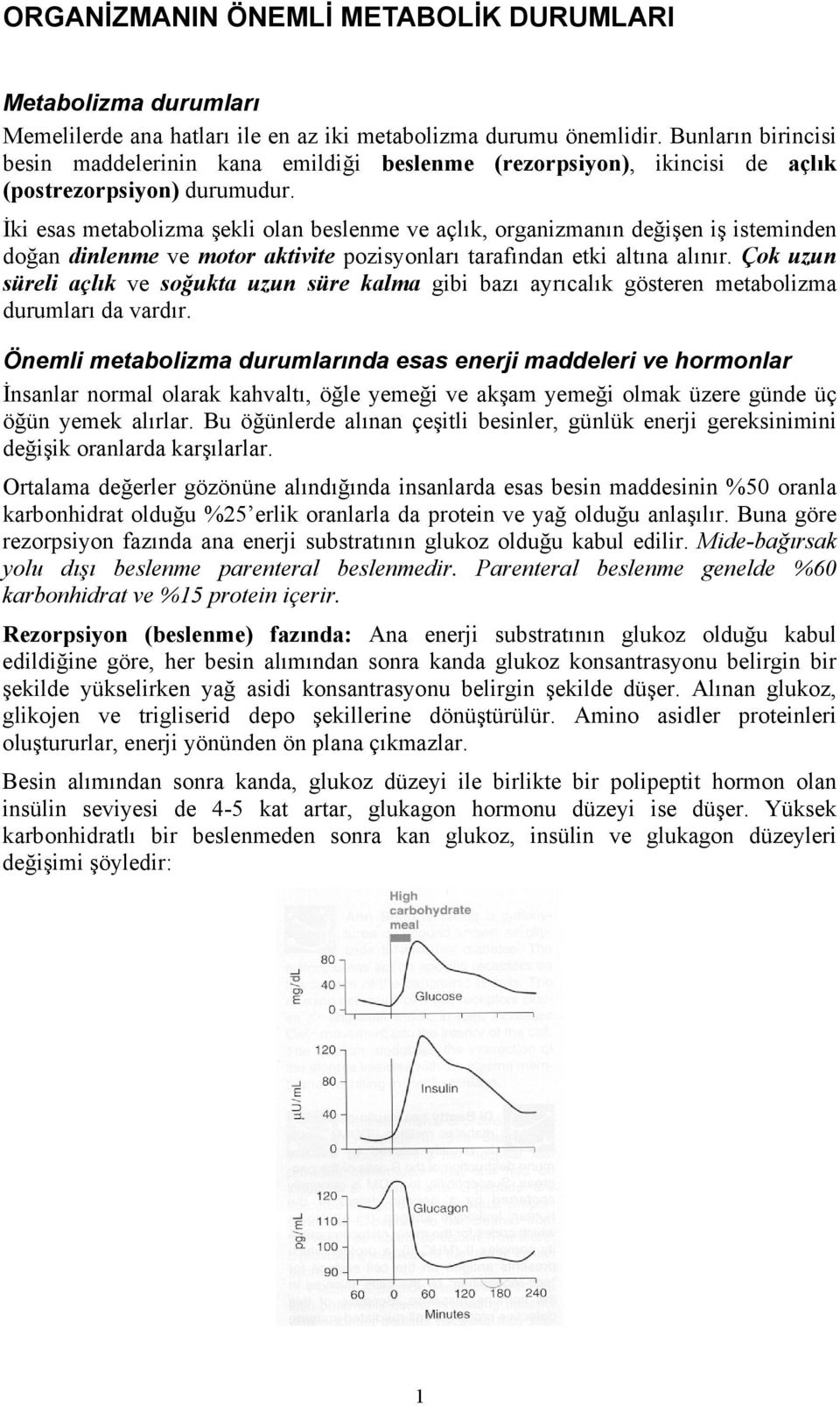 İki esas metabolizma şekli olan beslenme ve açlık, organizmanın değişen iş isteminden doğan dinlenme ve motor aktivite pozisyonları tarafından etki altına alınır.