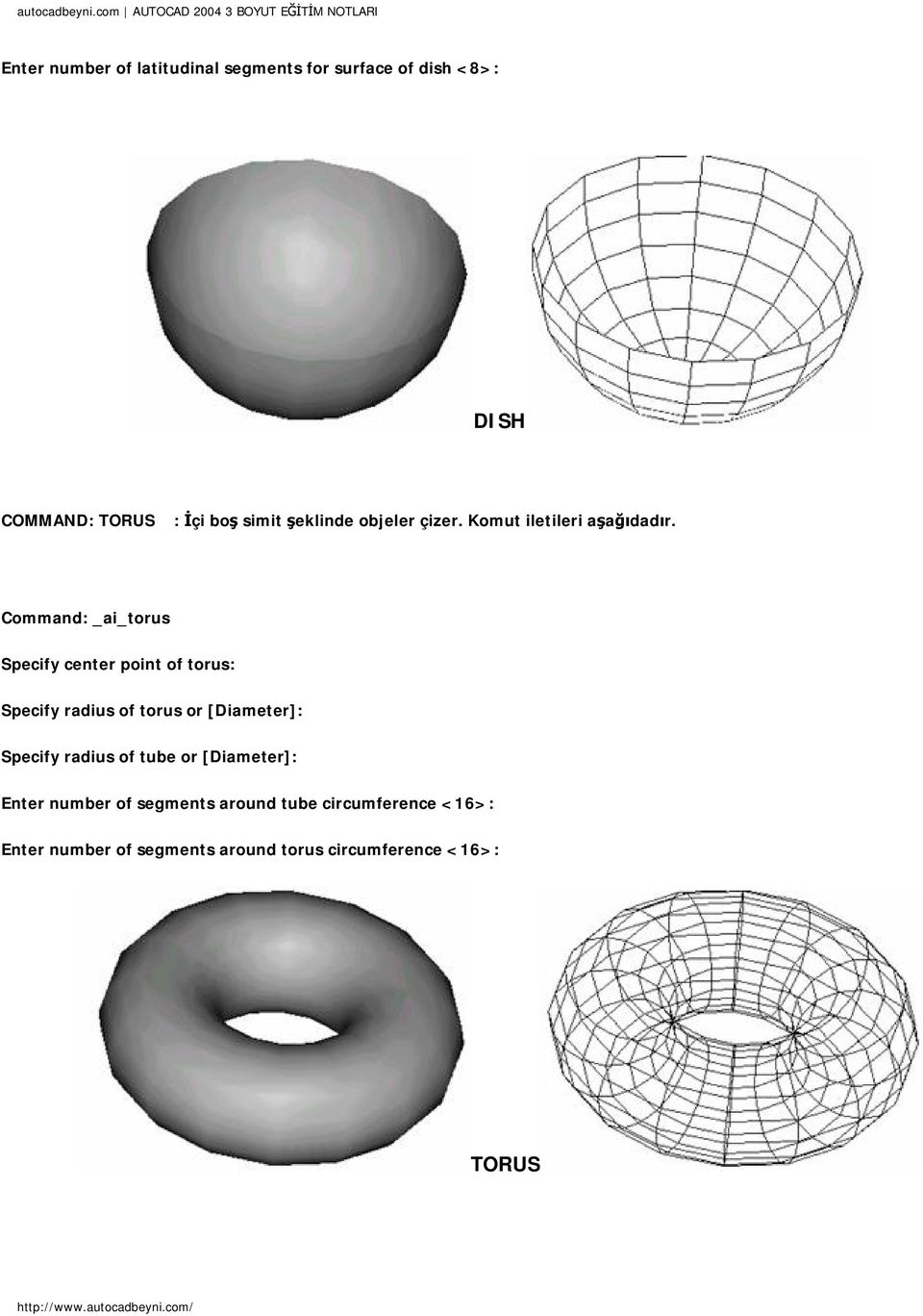 Command: _ai_torus Specify center point of torus: Specify radius of torus or [Diameter]: Specify