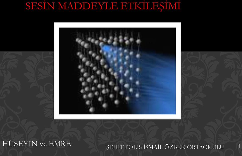 ve EMRE ŞEHİT POLİS