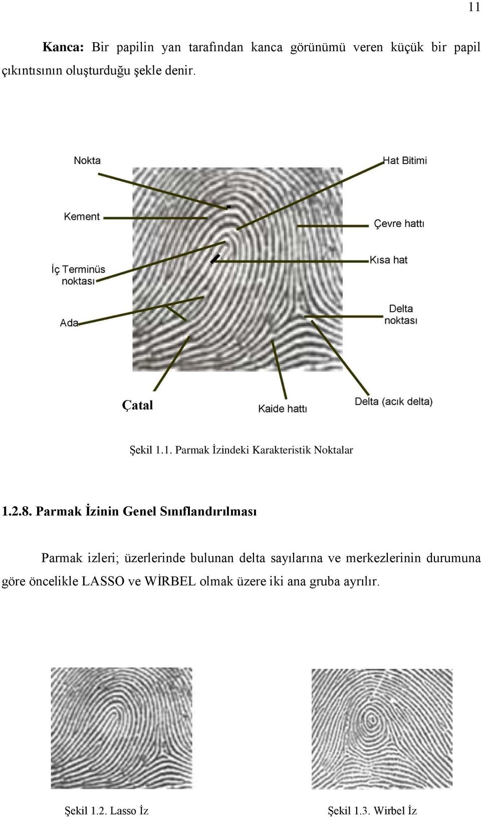 Parmak İzinin Genel Sınıflandırılması Parmak izleri; üzerlerinde bulunan delta sayılarına ve