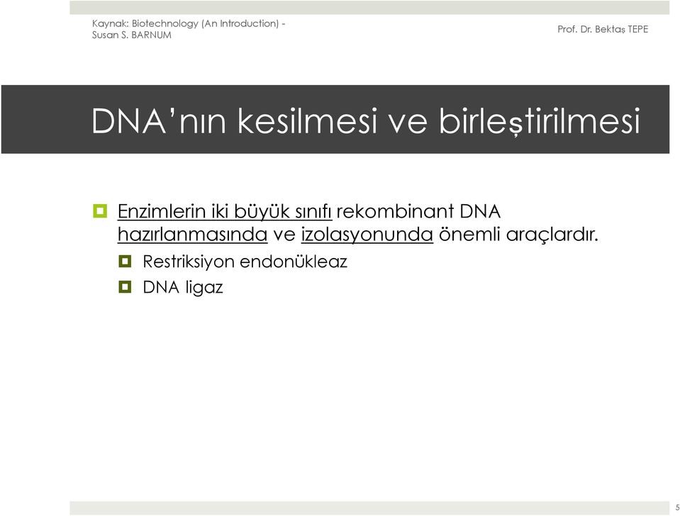 DNA hazırlanmasında ve izolasyonunda