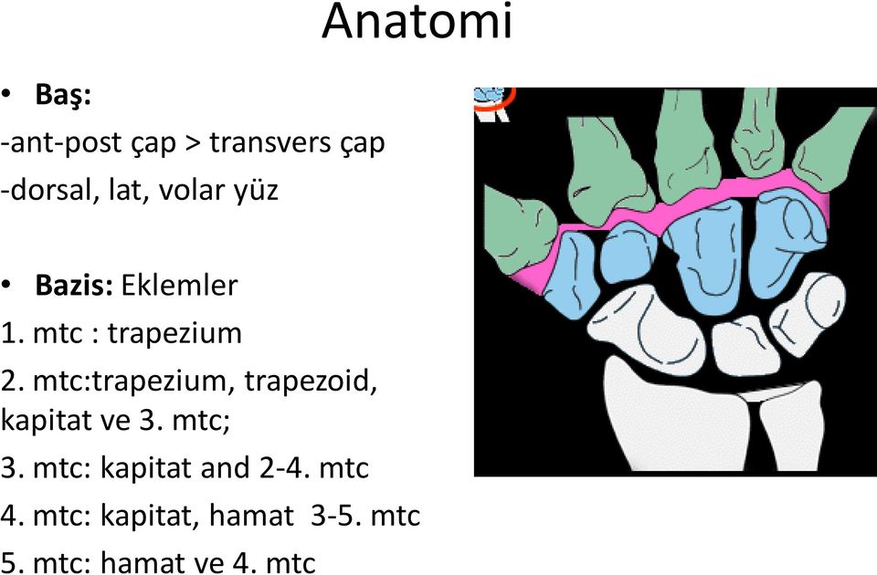 mtc:trapezium, trapezoid, kapitat ve 3. mtc; 3.