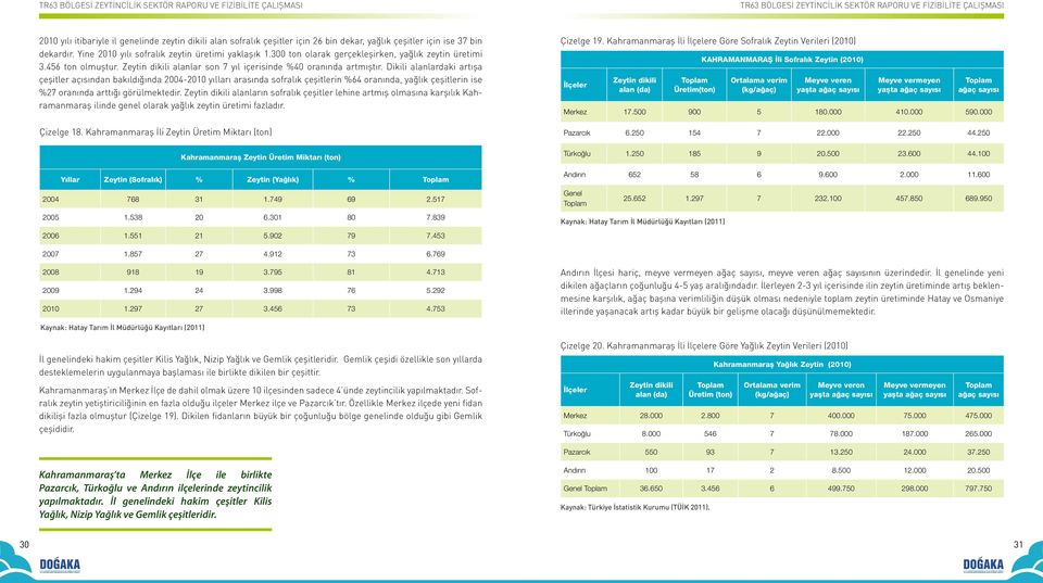 Dikili alanlardaki artışa çeşitler açısından bakıldığında 2004-2010 yılları arasında sofralık çeşitlerin %64 oranında, yağlık çeşitlerin ise %27 oranında arttığı görülmektedir.