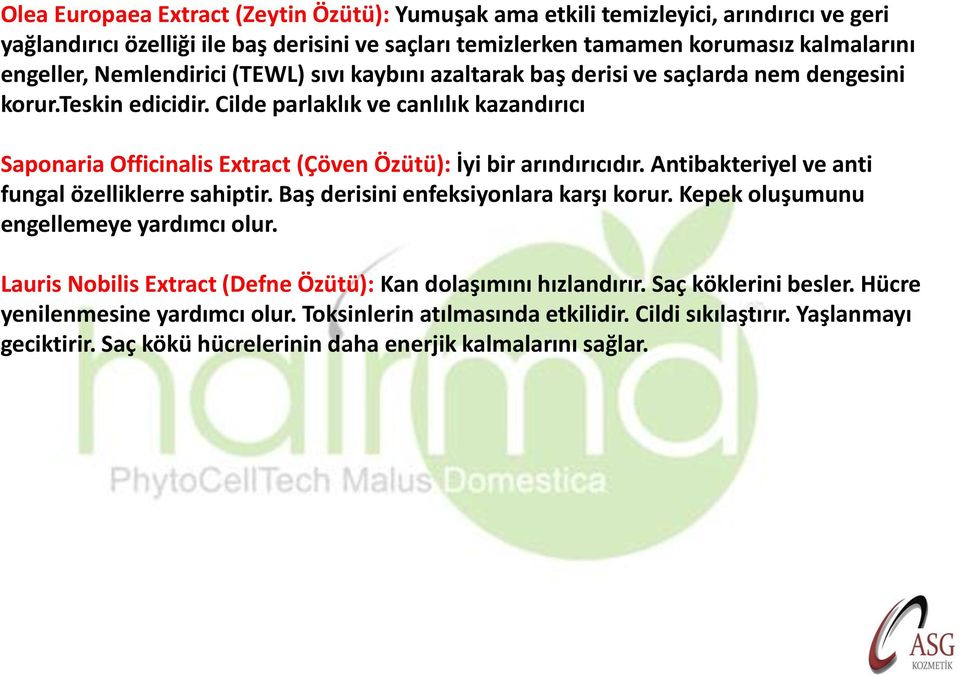 Cilde parlaklık ve canlılık kazandırıcı Saponaria Officinalis Extract (Çöven Özütü): İyi bir arındırıcıdır. Antibakteriyel ve anti fungal özelliklerre sahiptir.