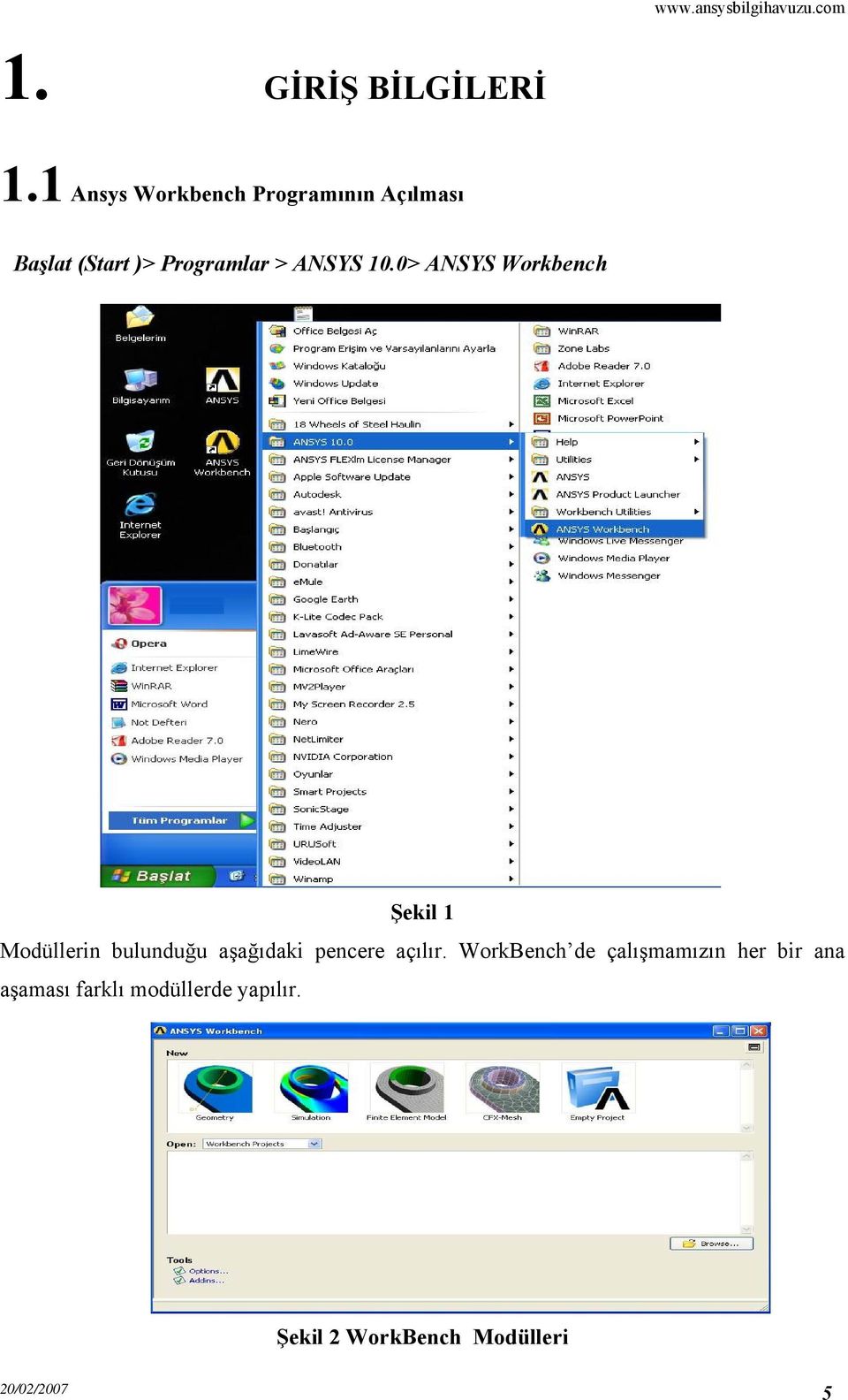 ANSYS 10.