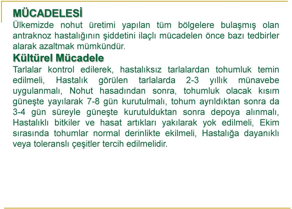 hasadından sonra, tohumluk olacak kısım güneşte yayılarak 7-8 gün kurutulmalı, tohum ayrıldıktan sonra da 3-4 gün süreyle güneşte kurutulduktan sonra depoya alınmalı,