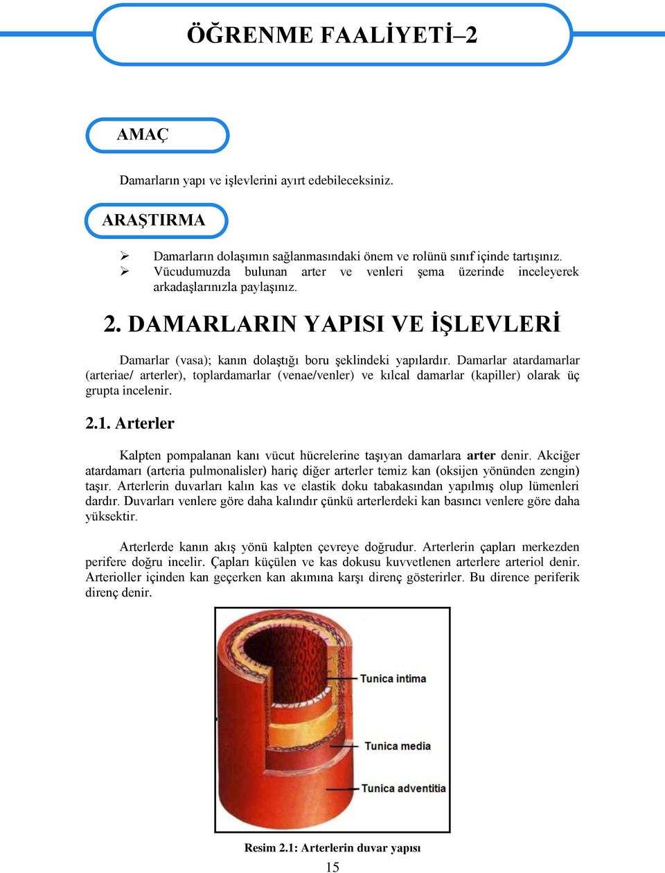 Damarlar atardamarlar (arteriae/ arterler), toplardamarlar (venae/venler) ve kılcal damarlar (kapiller) olarak üç grupta incelenir. 2.1.