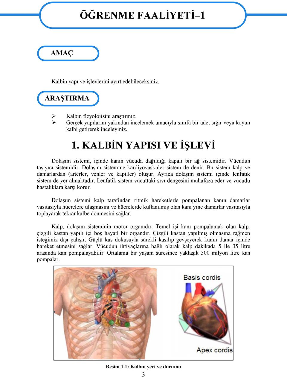 KALBİN YAPISI VE İŞLEVİ Dolaşım sistemi, içinde kanın vücuda dağıldığı kapalı bir ağ sistemidir. Vücudun taşıyıcı sistemidir. Dolaşım sistemine kardiyovasküler sistem de denir.