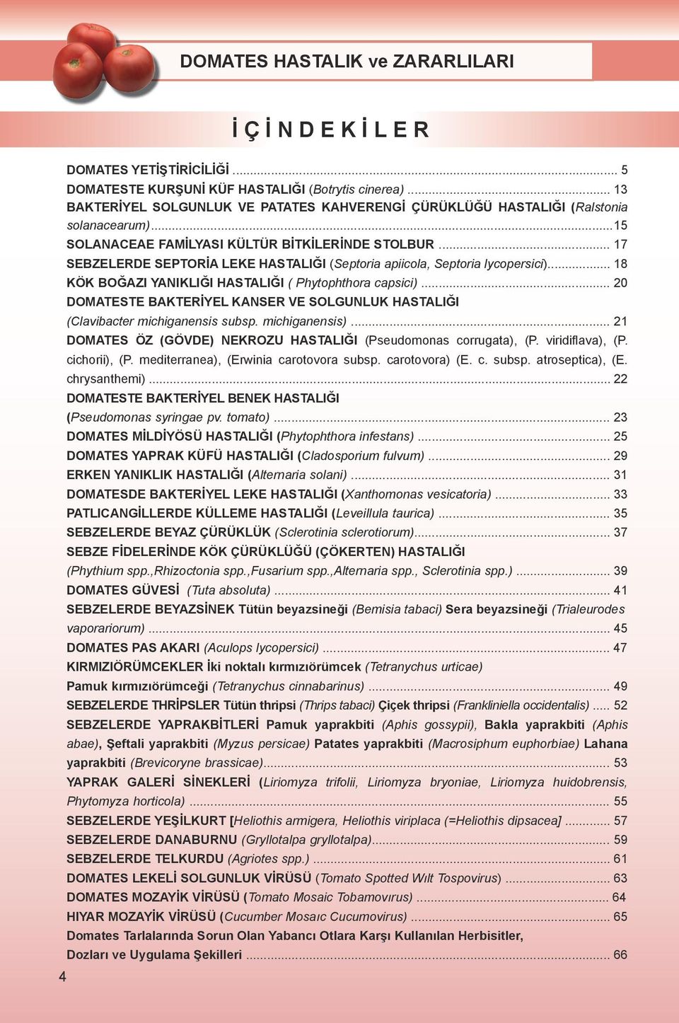 .. 20 DOMATESTE BAKTERİYEL KANSER VE SOLGUNLUK HASTALIĞI (Clavibacter michiganensis subsp. michiganensis)... 21 DOMATES ÖZ (GÖVDE) NEKROZU HASTALIĞI (Pseudomonas corrugata), (P. viridiflava), (P.