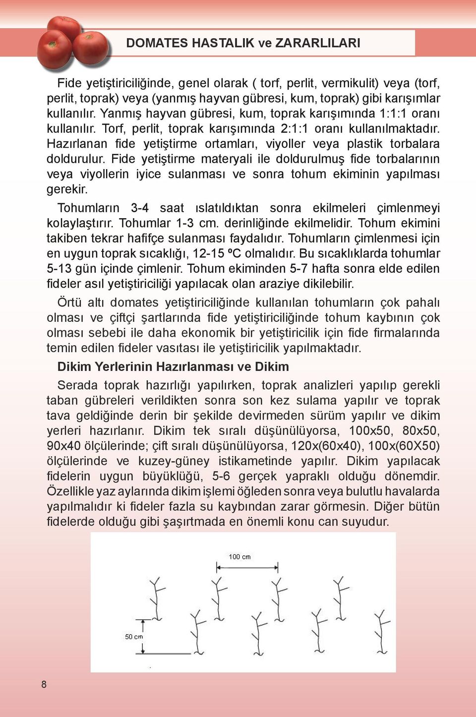 Hazırlanan fide yetiştirme ortamları, viyoller veya plastik torbalara doldurulur.