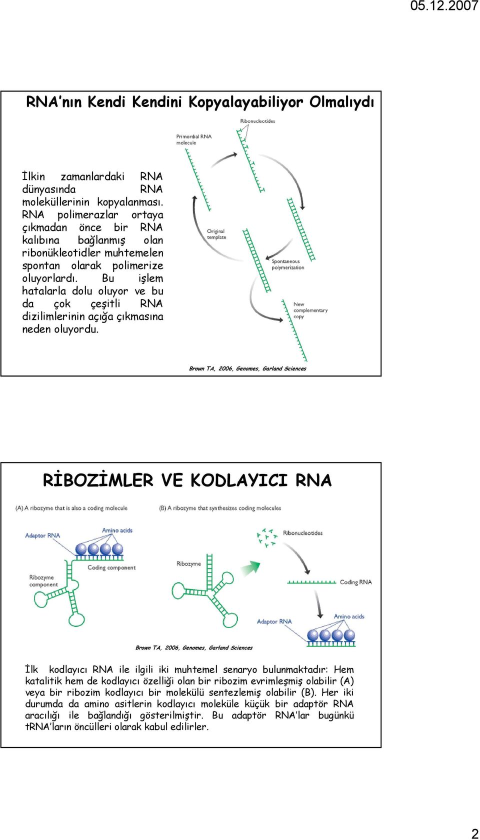 Bu işlem hatalarla dolu oluyor ve bu da çok çeşitli RNA dizilimlerinin açığa çıkmasına neden oluyordu.