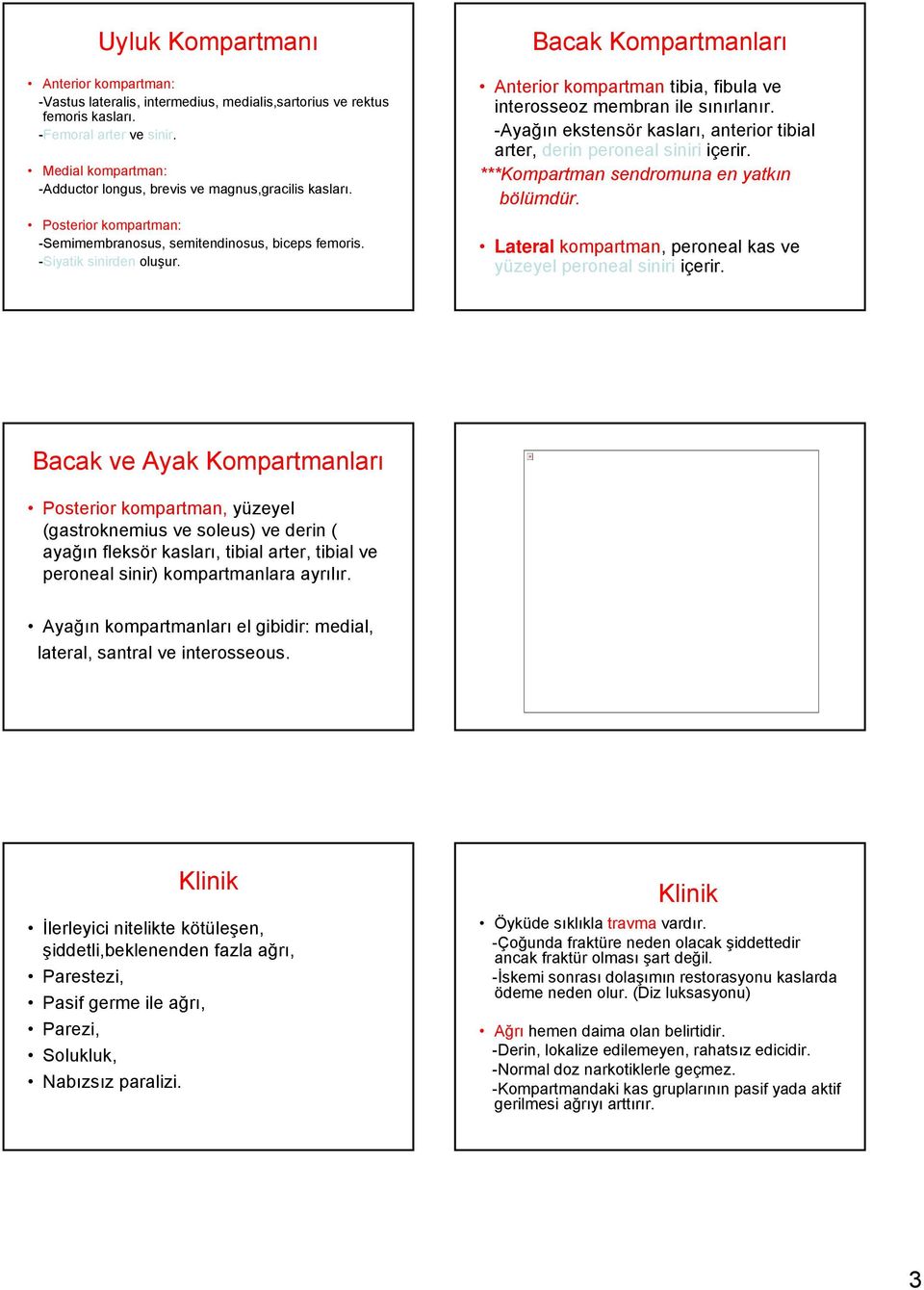 Bacak Kompartmanları Anterior kompartman tibia, fibula ve interosseoz membran ile sınırlanır. -Ayağın ekstensör kasları, anterior tibial arter, derin peroneal siniri içerir.