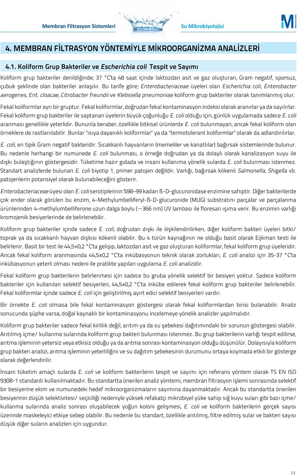 bakteriler anlaşılır. Bu tarife göre; Enterobacteriaceae üyeleri olan Escherichia coli, Enterobacter aerogenes, Ent.