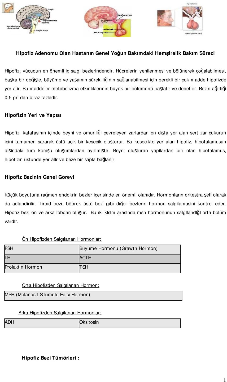 Bu maddeler metabolizma etkinliklerinin büyük bir bölümünü başlatır ve denetler. Bezin ağırlığı 0,5 gr' dan biraz fazladır.