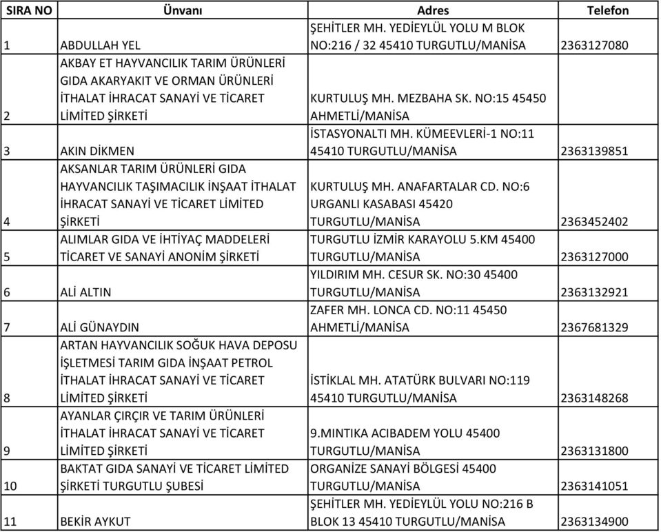 NO:15 45450 AHMETLİ/MANİSA 3 AKIN DİKMEN İSTASYONALTI MH.