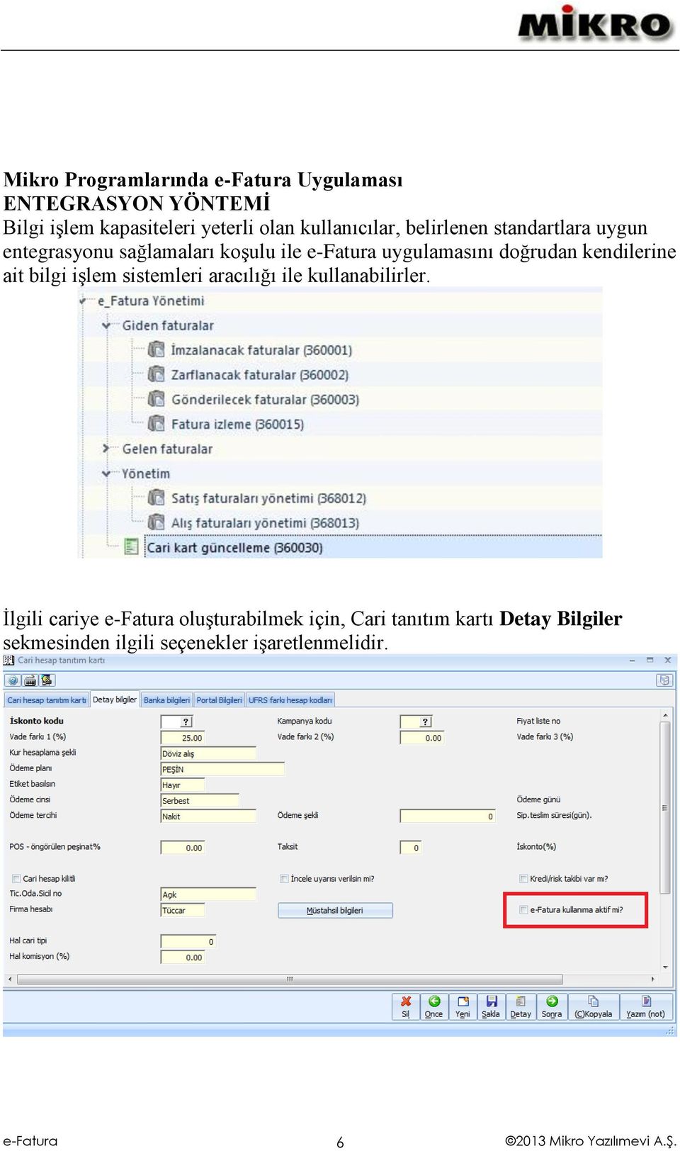 doğrudan kendilerine ait bilgi işlem sistemleri aracılığı ile kullanabilirler.