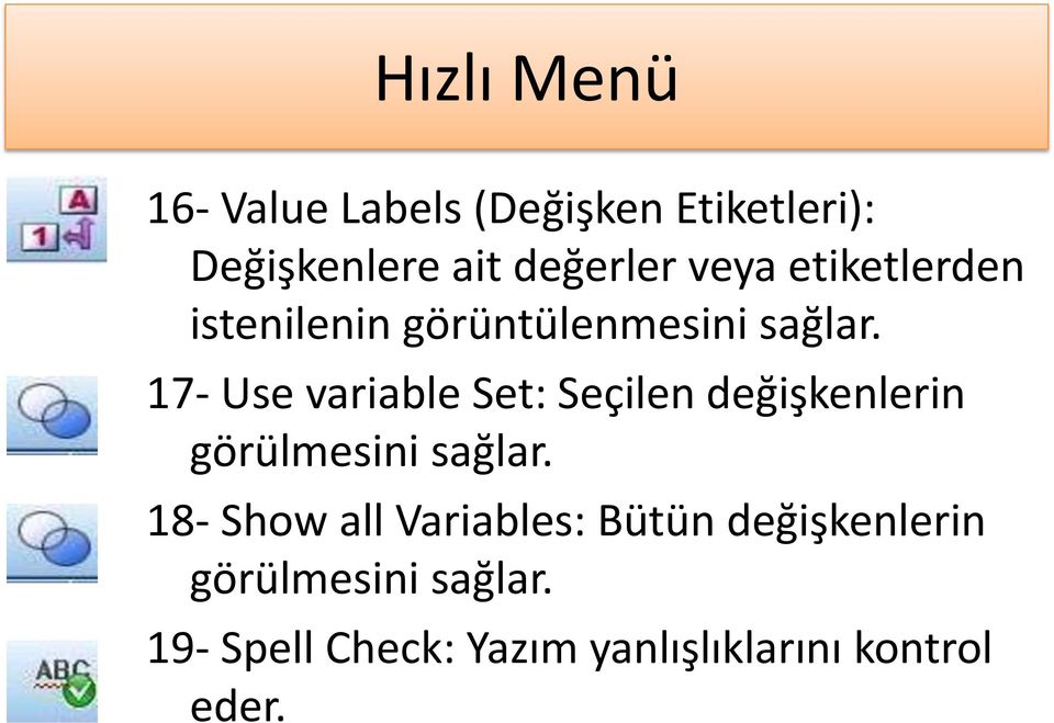 17- Use variable Set: Seçilen değişkenlerin görülmesini sağlar.