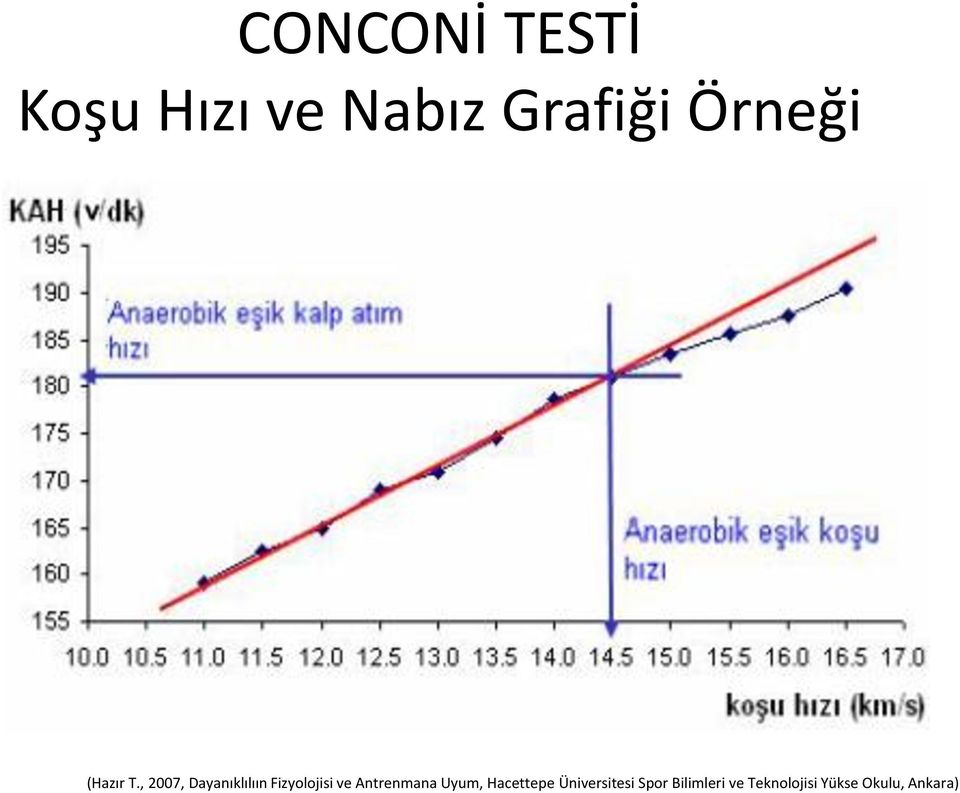 , 2007, Dayanıklılıın Fizyolojisi ve