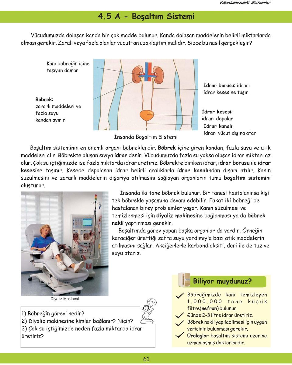 Kanı böbreğin içine taşıyan damar Böbrek: zararlı maddeleri ve fazla suyu kandan ayırır İnsanda Boşaltım Sistemi İdrar borusu: idrarı idrar kesesine taşır İdrar kesesi: idrarı depolar İdrar kanalı: