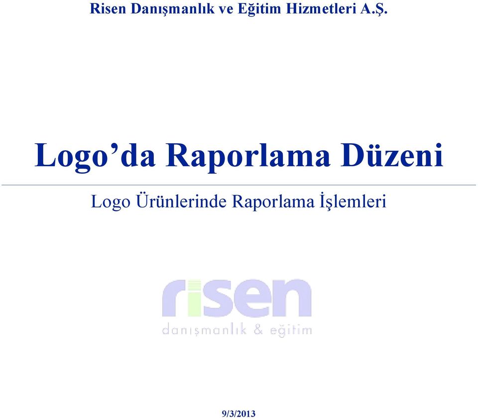 Logo da Raporlama Düzeni