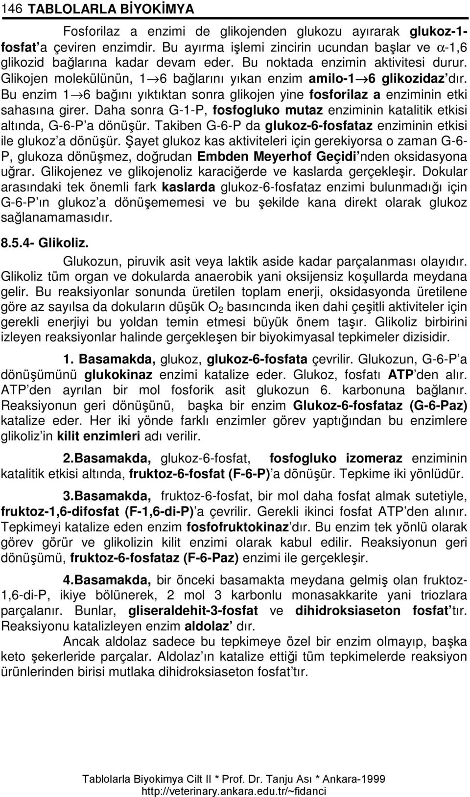 Bu enzim 1 6 bağını yıktıktan sonra glikojen yine fosforilaz a enziminin etki sahasına girer. Daha sonra G-1-P, fosfogluko mutaz enziminin katalitik etkisi altında, G-6-P a dönüşür.