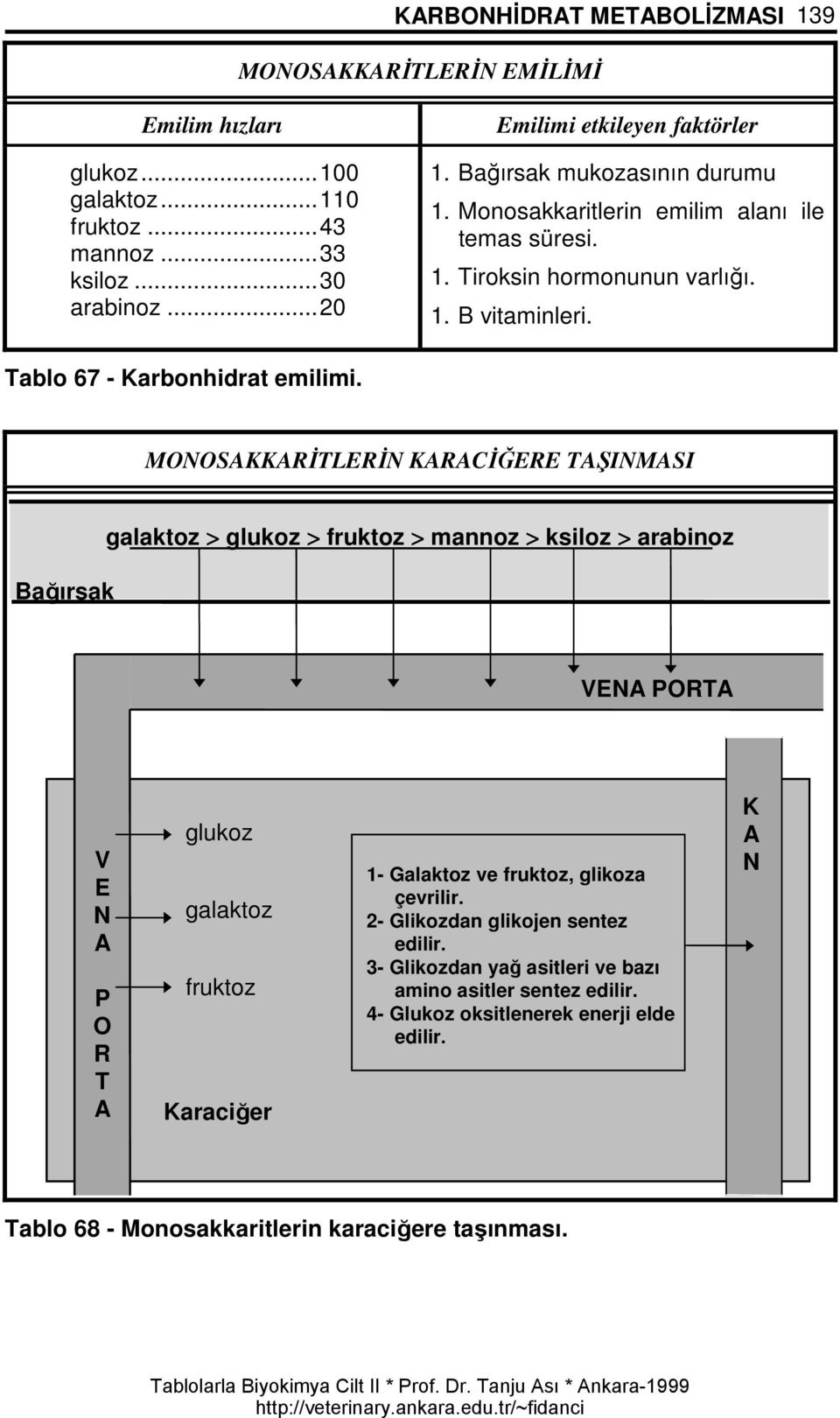 MONOSAKKARİTLERİN KARACİĞERE TAŞINMASI Bağırsak galaktoz > glukoz > fruktoz > mannoz > ksiloz > arabinoz VENA PORTA V E N A P O R T A glukoz galaktoz fruktoz Karaciğer 1- Galaktoz ve