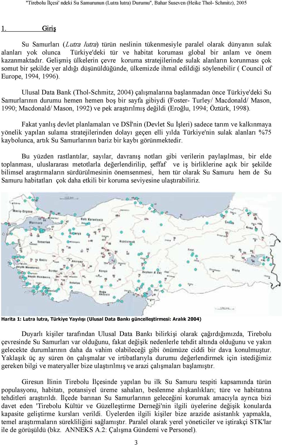 Ulusal Data Bank (Thol-Schmitz, 2004) çalışmalarına başlanmadan önce Türkiye'deki Su Samurlarının durumu hemen hemen boş bir sayfa gibiydi (Foster- Turley/ Macdonald/ Mason, 1990; Macdonald/ Mason,