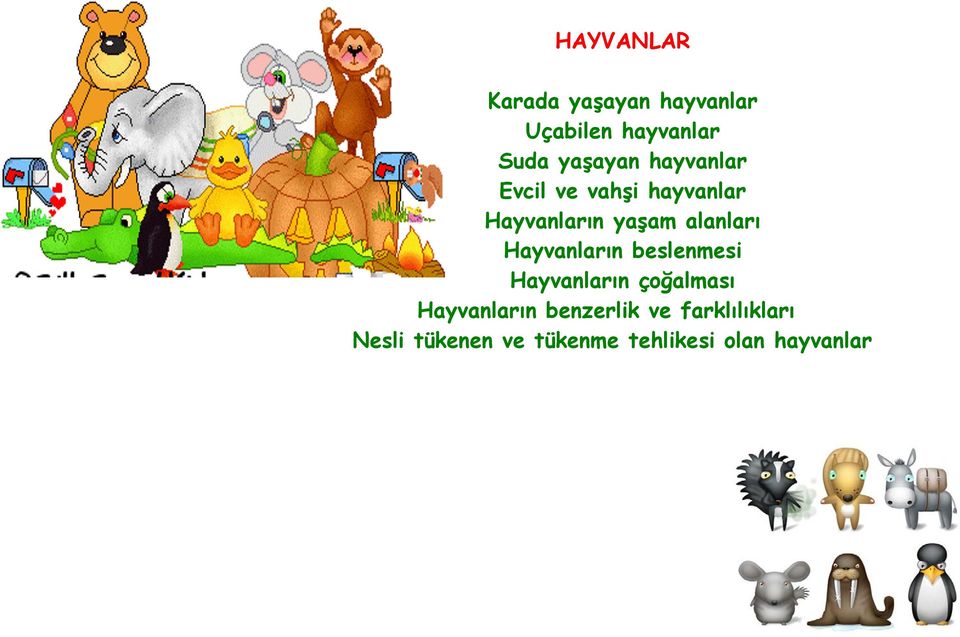 alanları Hayvanların beslenmesi Hayvanların çoğalması Hayvanların