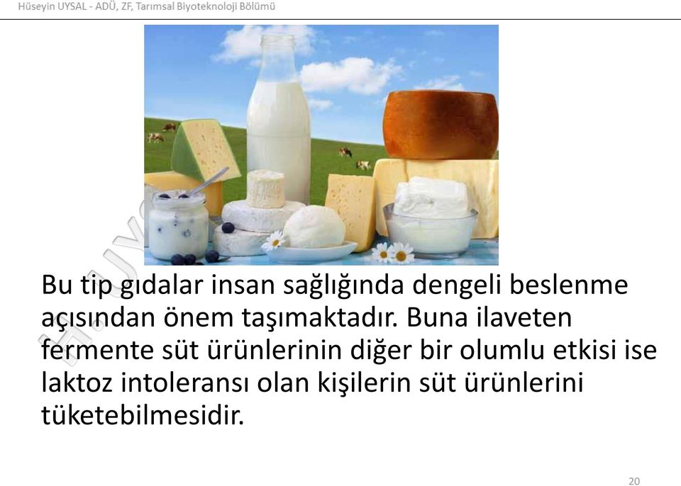 Buna ilaveten fermente süt ürünlerinin diğer bir