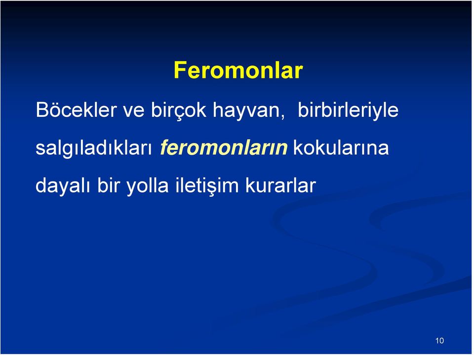 salgıladıkları feromonların