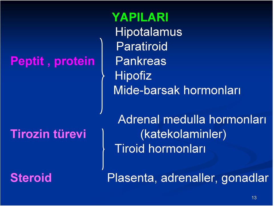 medulla hormonları Tirozin türevi (katekolaminler)