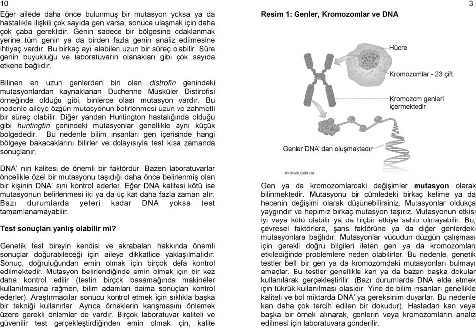 Süre genin büyüklüğü ve laboratuvarın olanakları gibi çok sayıda etkene bağlıdır.