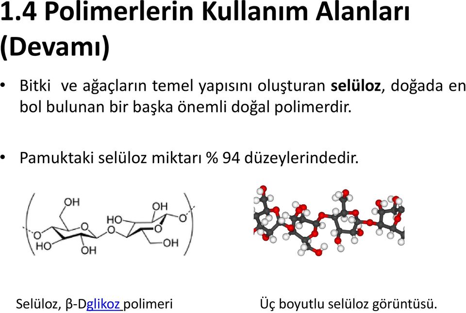 başka önemli doğal polimerdir.