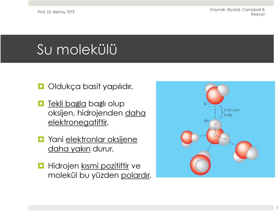 elektronegatiftir.