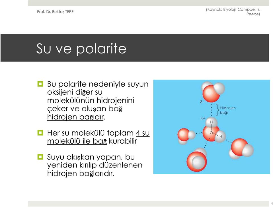 Her su molekülü toplam 4 su molekülü ile bağ kurabilir Suyu