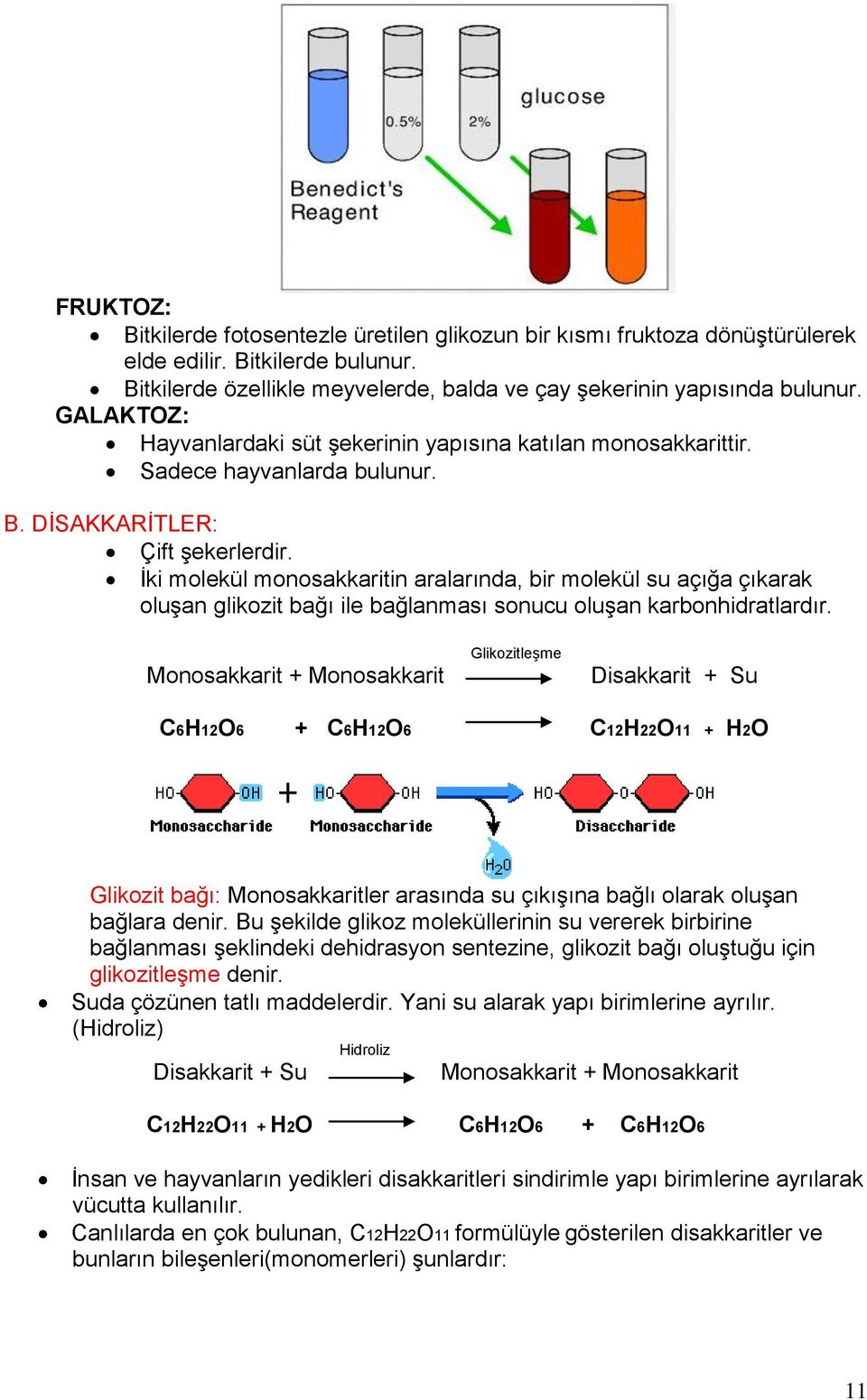 İki molekül monosakkaritin aralarında, bir molekül su açığa çıkarak oluşan glikozit bağı ile bağlanması sonucu oluşan karbonhidratlardır.