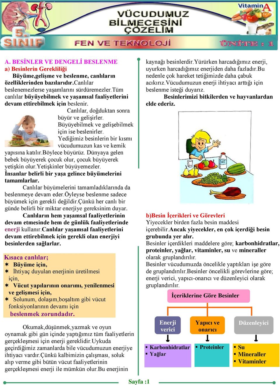 İçeriklerine Göre Besinler. Enerji verici. Yapıcı ve onarıcı. Düzenleyici -  PDF Ücretsiz indirin