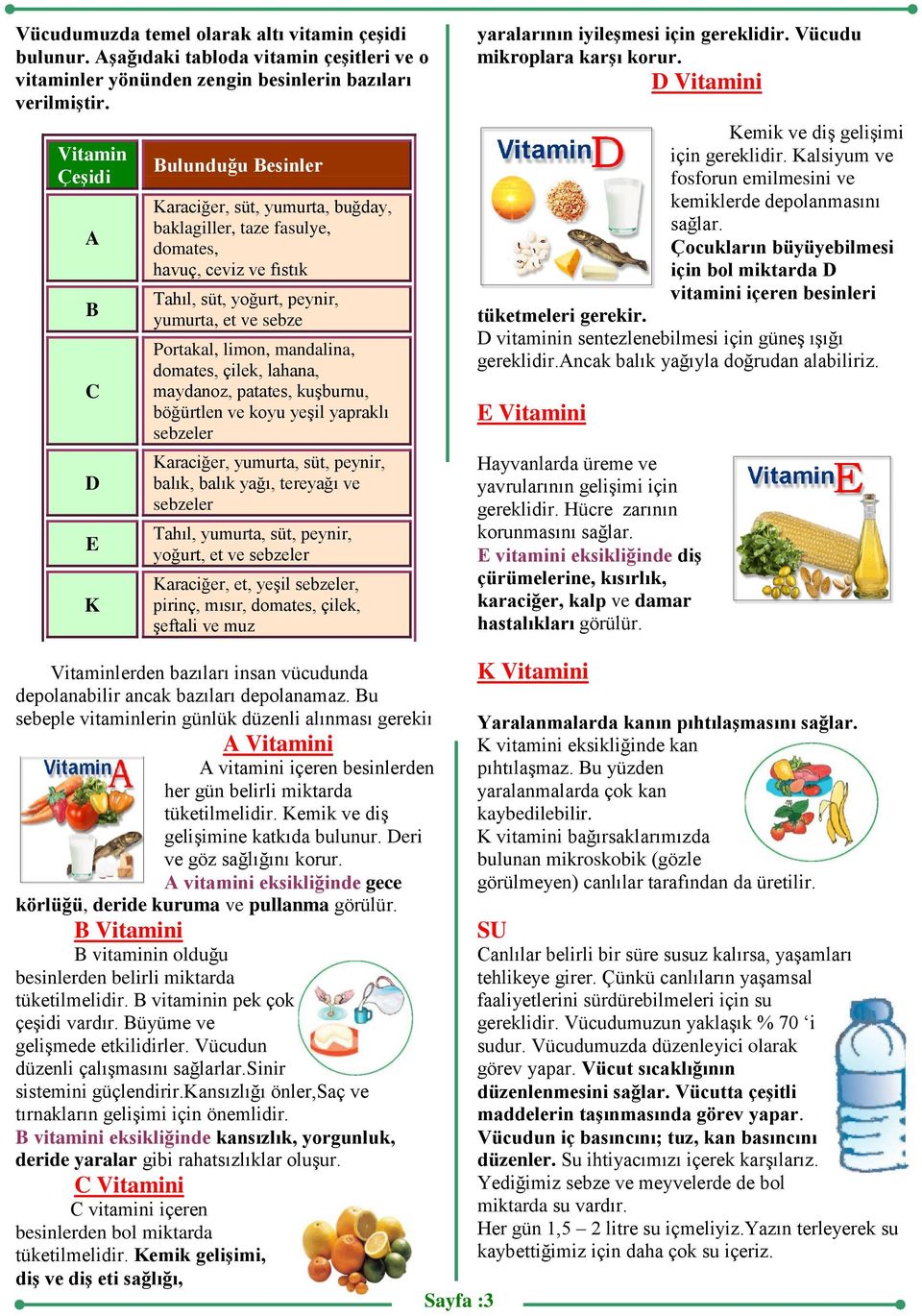 İçeriklerine Göre Besinler. Enerji verici. Yapıcı ve onarıcı. Düzenleyici -  PDF Ücretsiz indirin