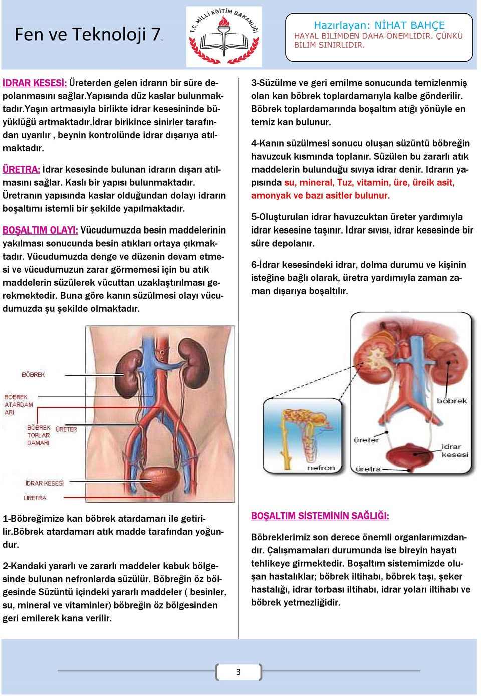 Üretranın yapısında kaslar olduğundan dolayı idrarın boşaltımı istemli bir şekilde yapılmaktadır. BOŞALTIM OLAYI: Vücudumuzda besin maddelerinin yakılması sonucunda besin atıkları ortaya çıkmaktadır.