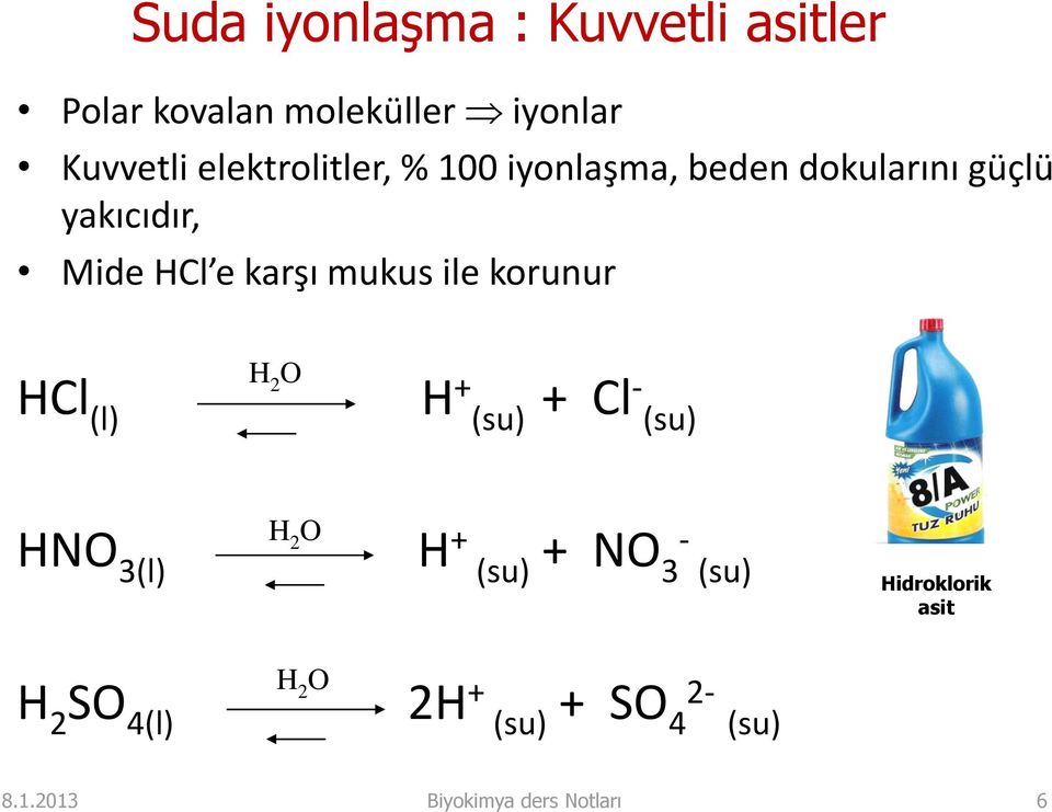 mukus ile korunur HCl (l) H 2 O H + (su) + Cl- (su) HNO 3(l) H 2 SO 4(l) H 2 O H 2 O