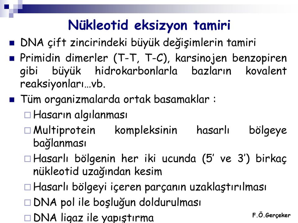 Tüm organizmalarda ortak basamaklar : Hasarın algılanması Multiprotein kompleksinin hasarlı bölgeye bağlanması Hasarlı