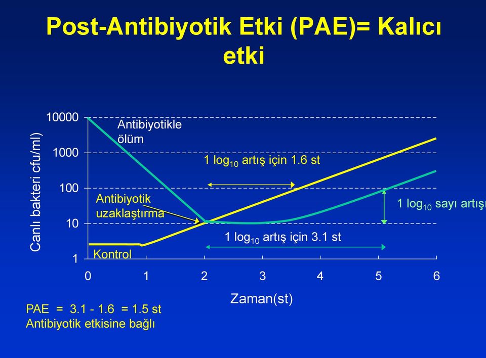 6 st 100 10 1 Antibiyotik uzaklaştırma Kontrol 0 1 2 3 4 5 6 PAE = 3.