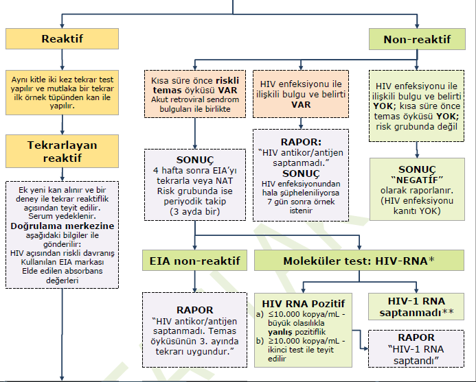 HIV enfeksiyonu