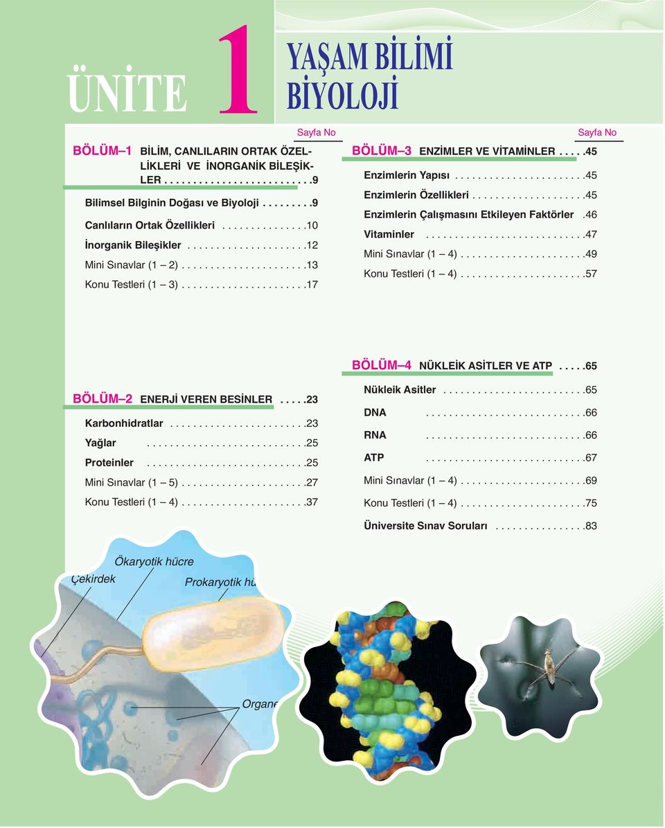 .....................13 Konu Testleri (1 3)......................17 BÖLÜM 2 ENERJİ VEREN BESİNLER.....23 Karbonhidratlar........................23 Yağlar............................25 Proteinler.