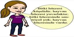 Sentriyoller-Mitokondri c. Mitokondri-Golgi aygıtı d. Kloroplast-Golgi aygıtı 12. Yukarıdaki tabloda K, L ve M hücreleri ve bu hücrelerde yer alan organeller gösterilmiştir.