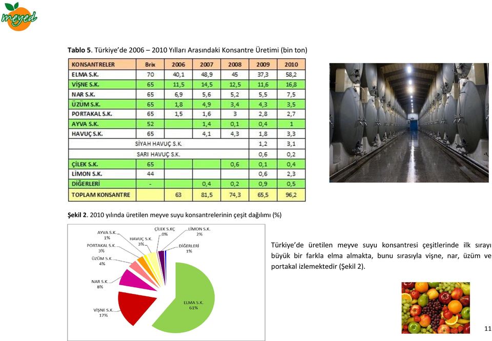 2010 yılında üretilen meyve suyu konsantrelerinin çeşit dağılımı (%) Türkiye de