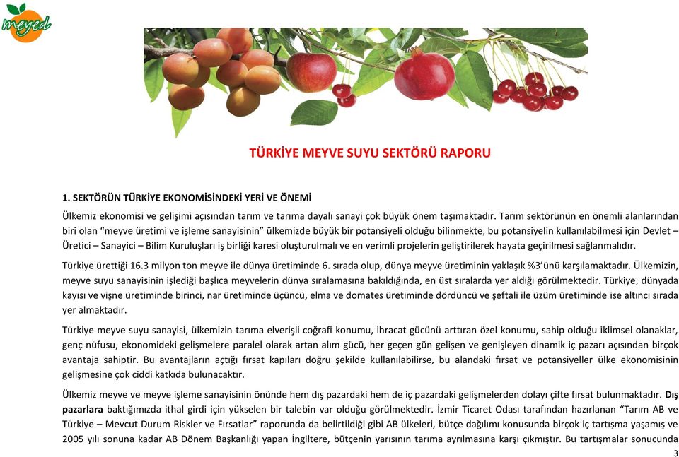 Bilim Kuruluşları iş birliği karesi oluşturulmalı ve en verimli projelerin geliştirilerek hayata geçirilmesi sağlanmalıdır. Türkiye ürettiği 16.3 milyon ton meyve ile dünya üretiminde 6.