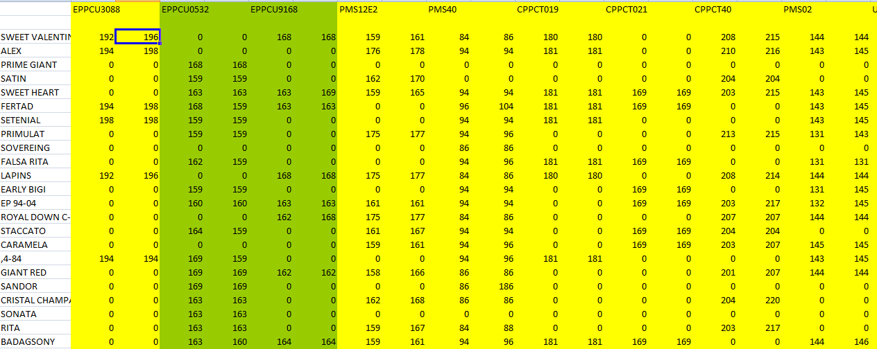 DENDOGRAM İÇİN