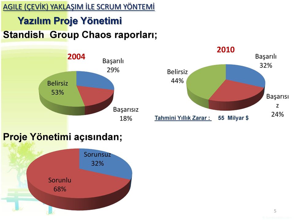 açısından; Sorunlu 68% 2004 Başarılı Başarılı 32% 29% Sorunsuz 32%